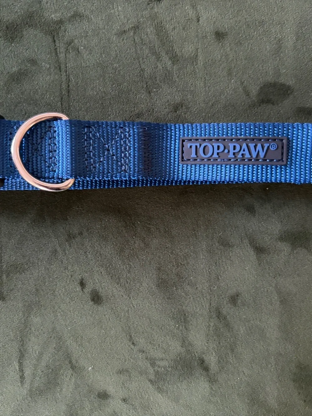 Dog Collar